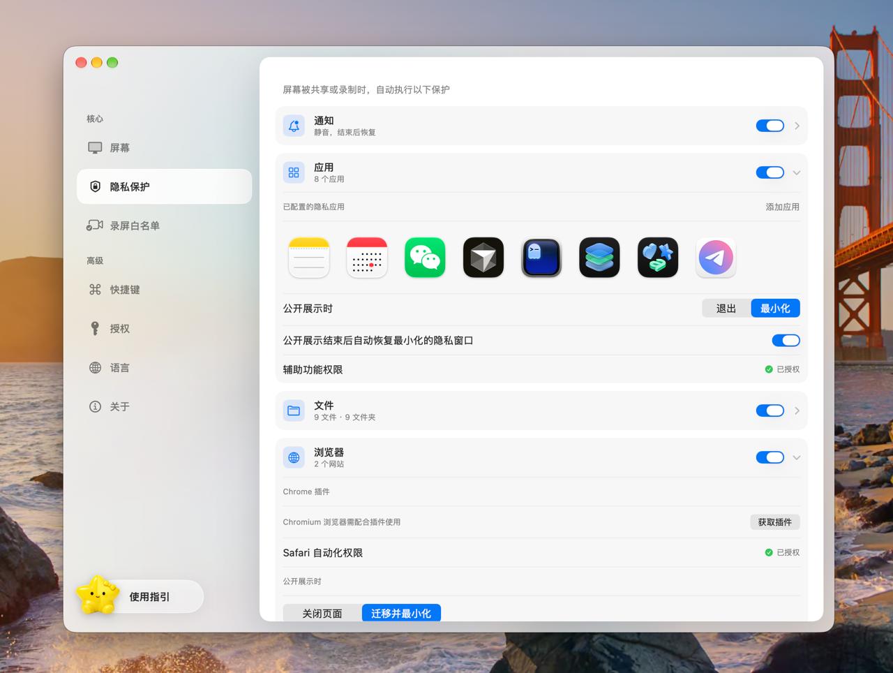Dam 隐私保护设置：应用、文件与浏览器分别开关，可选择最小化窗口和结束后恢复。